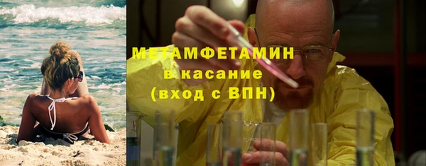 крисы Бородино