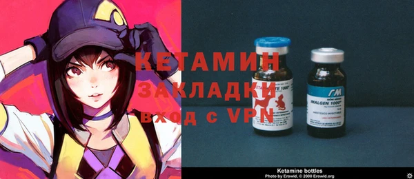 крисы Бородино