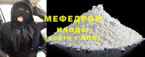 крисы Бородино