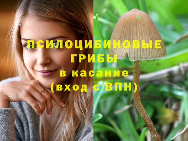 крисы Бородино