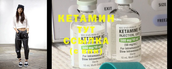 крисы Бородино