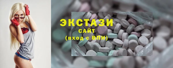 крисы Бородино