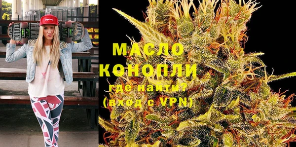крисы Бородино