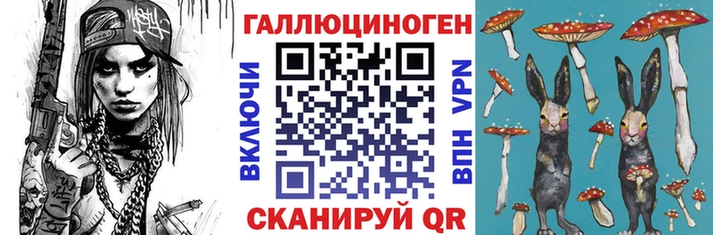 наркотики  omg сайт  Галлюциногенные грибы Cubensis  Минусинск 